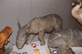 2004-calcorino